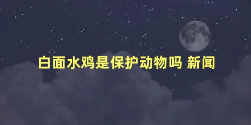 白面水鸡是保护动物吗 新闻